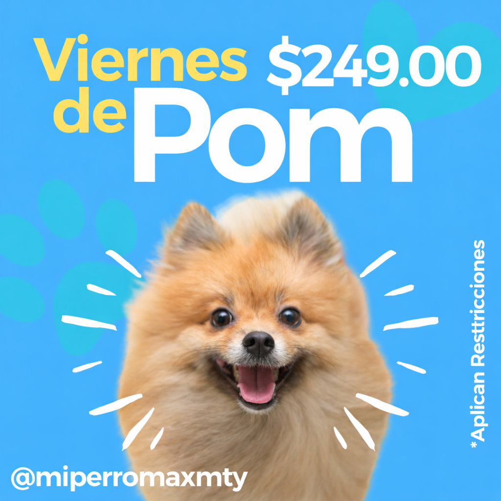 Viernes de Pom