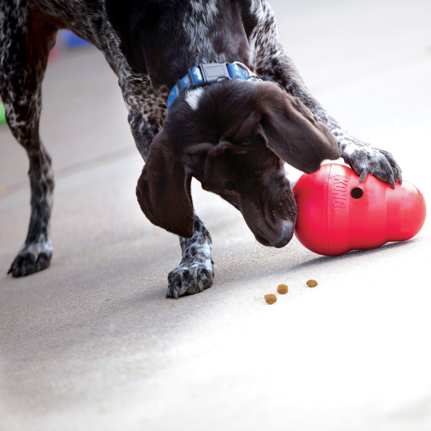 KONG WOBBLER - Juguete dispensador de alimento