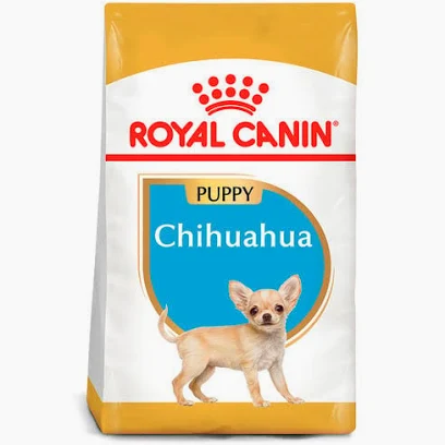 Chihuahua Puppy 1.1kg. Royal Canin