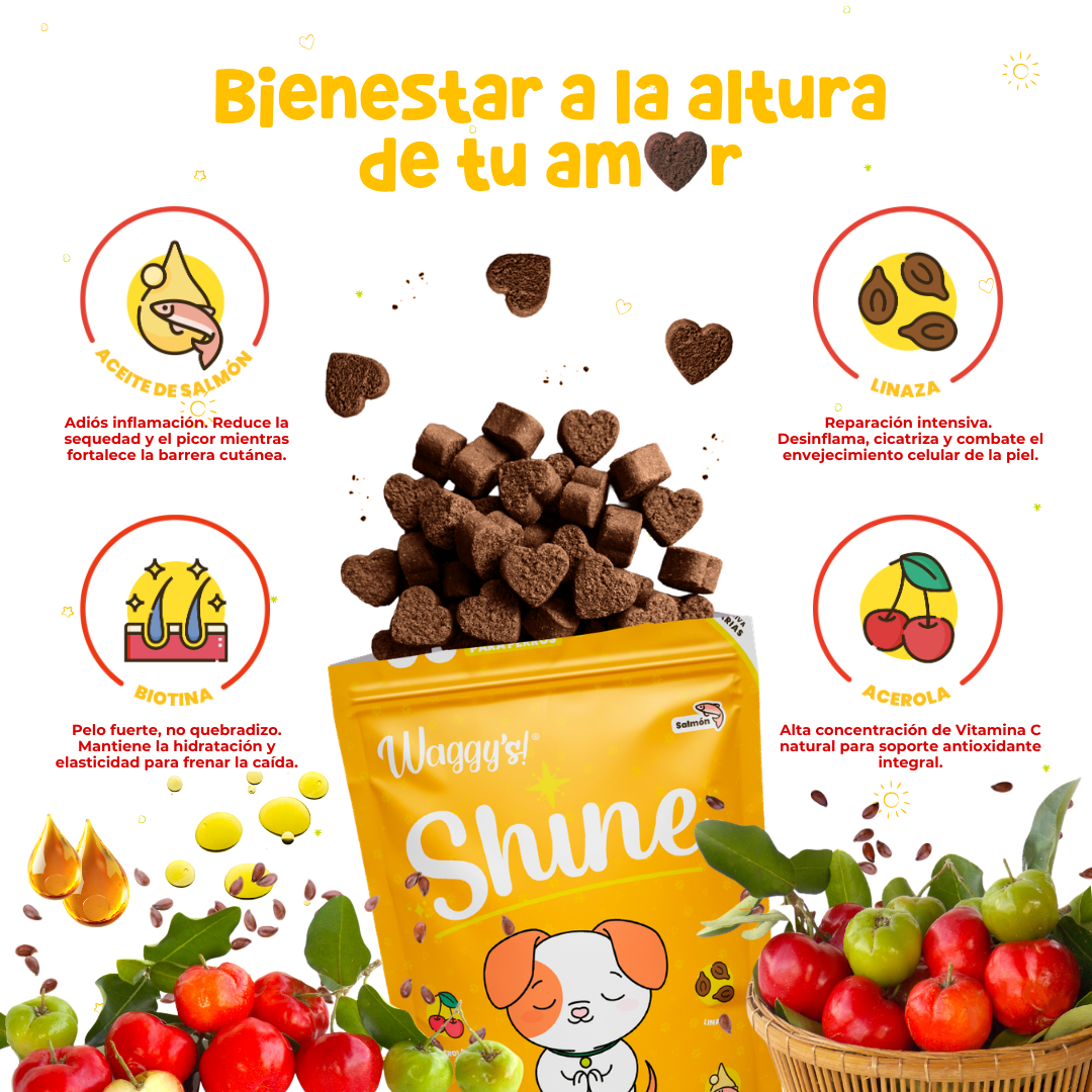 Suplemento para Comezón y Caída de Pelo en Perros | Waggy's Shine
