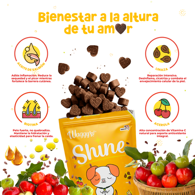 Suplemento para Comezón y Caída de Pelo en Perros | Waggy's Shine