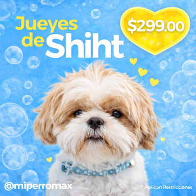 Jueves de Shiht zu