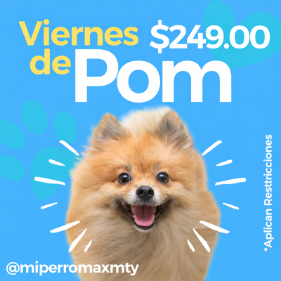 Viernes de Pom