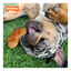 Nylabone Juguete de Pretzel