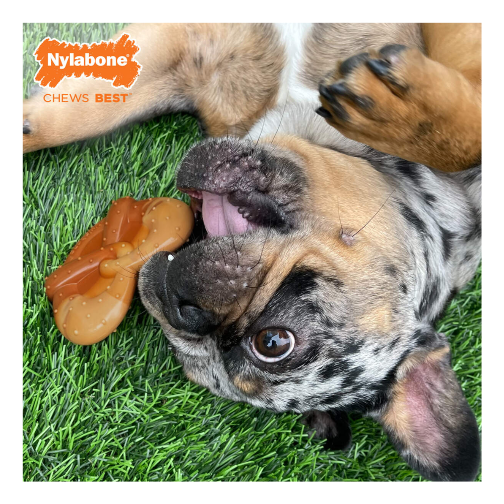 Nylabone Juguete de Pretzel