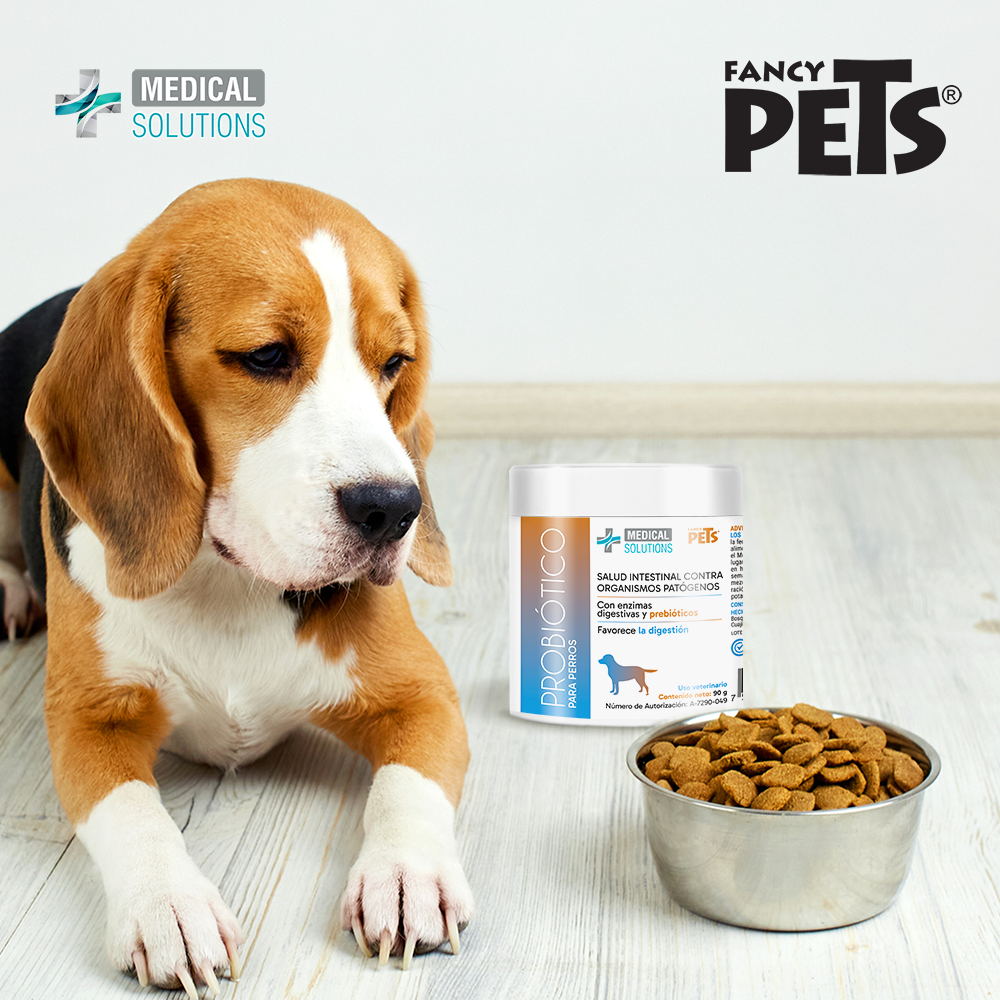 Ms Probióticos p Perro 90g