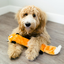 Zippy Paws Fox