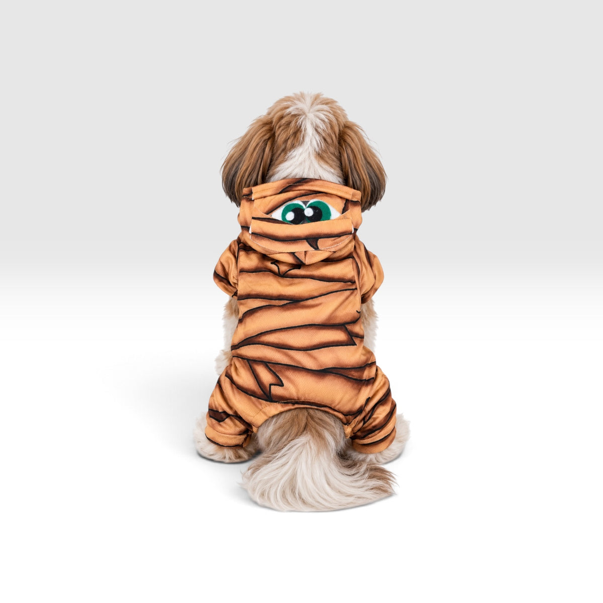 Disfraz de Momia para Perrito